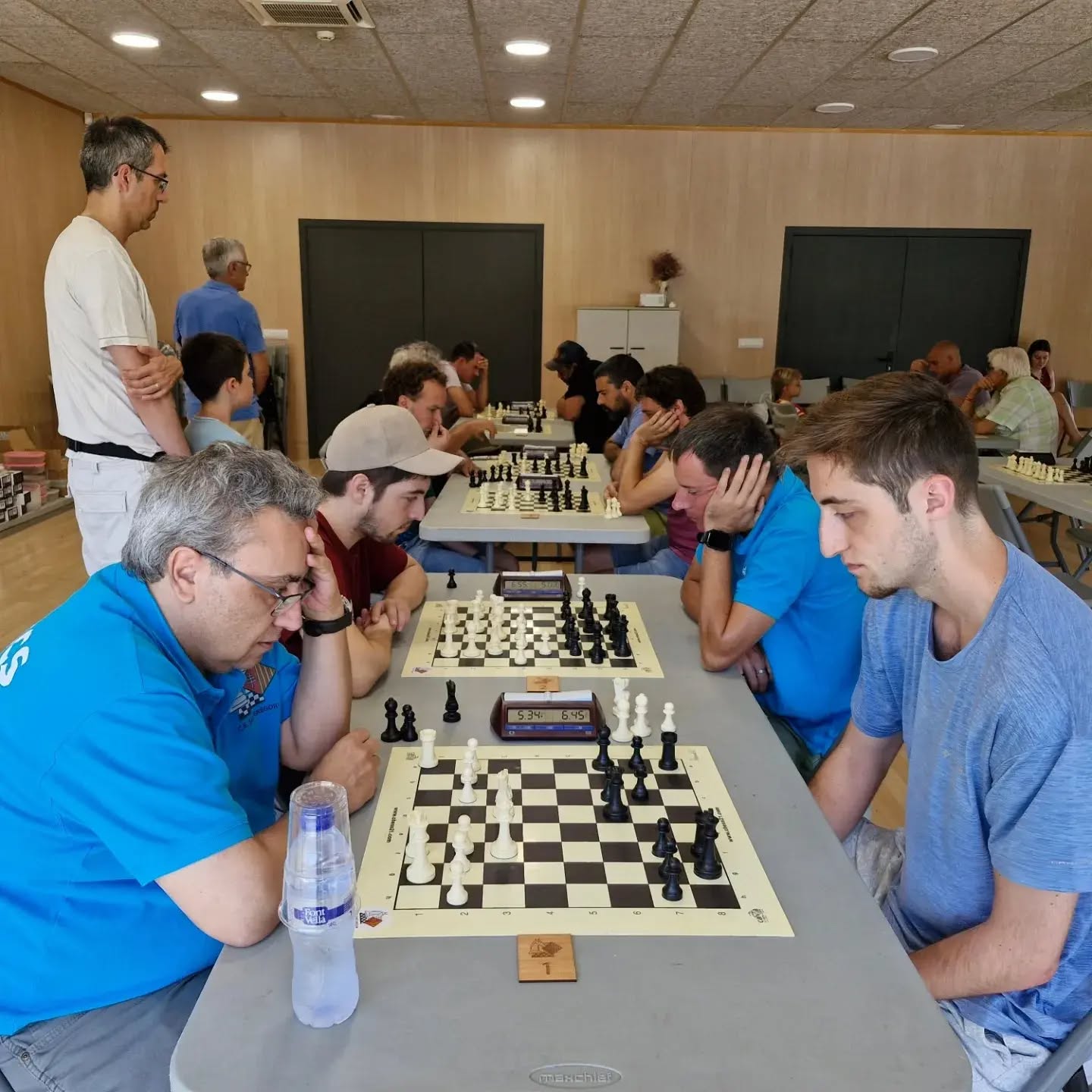 17 ajuntament pisicn4